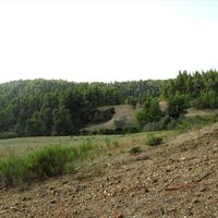 Land plot in Greece