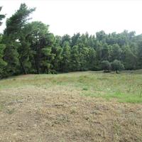 Land plot in Greece