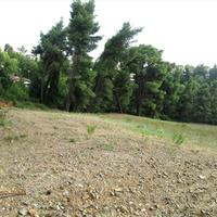 Land plot in Greece