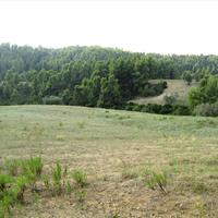 Land plot in Greece