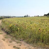 Земельный участок в Греции