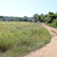 Земельный участок в Греции