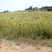 Земельный участок в Греции