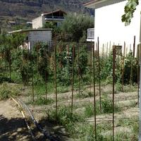 Other in Greece, 99 sq.m.