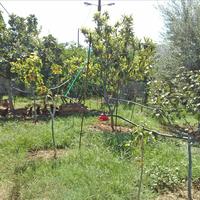 Other in Greece, 99 sq.m.