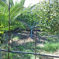 Other in Greece, 99 sq.m.