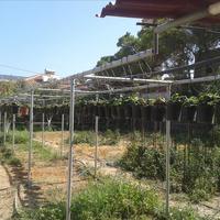 Other in Greece, 99 sq.m.