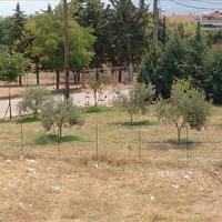 Land plot in Greece, 900 sq.m.