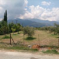 Land plot in Greece, 900 sq.m.