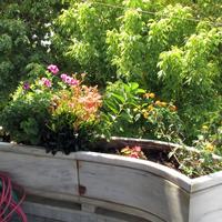 Other in Greece, 115 sq.m.