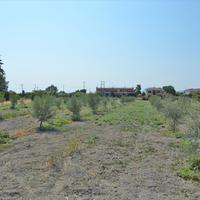 Land plot in Greece, 2000 sq.m.