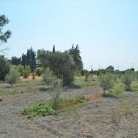 Land plot in Greece, 2000 sq.m.