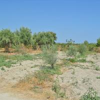 Land plot in Greece, 2000 sq.m.
