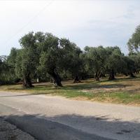 Земельный участок в Греции