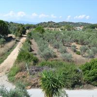 Land plot in Greece