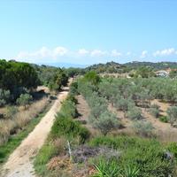 Land plot in Greece
