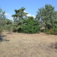 Land plot in Greece