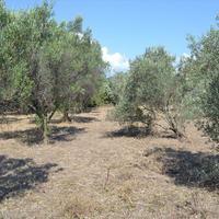 Land plot in Greece