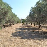Land plot in Greece
