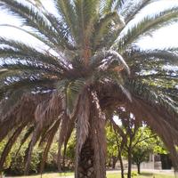 Другое в Греции, 240 кв.м.