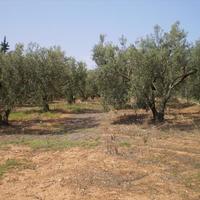 Земельный участок в Греции