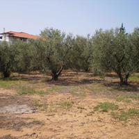 Земельный участок в Греции