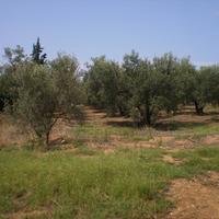 Земельный участок в Греции