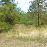 Land plot in Greece