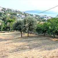Land plot in Greece