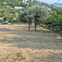 Land plot in Greece