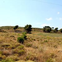 Land plot in Greece