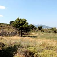 Land plot in Greece