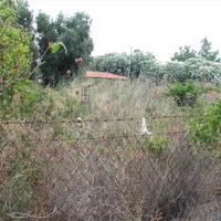 Land plot in Greece