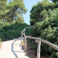 Отель (гостиница) в Греции, 1500 кв.м.