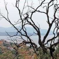 Земельный участок в Греции