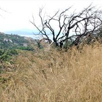 Земельный участок в Греции