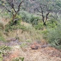 Земельный участок в Греции