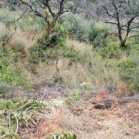 Земельный участок в Греции