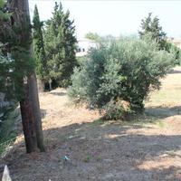 Land plot in Greece