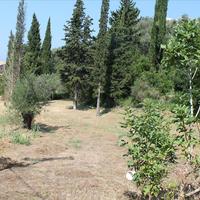 Land plot in Greece