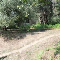 Земельный участок в Греции