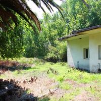 Land plot in Greece, 100 sq.m.