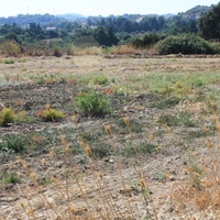 Land plot in Greece, 35260 sq.m.