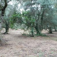 Land plot in Greece, 145 sq.m.