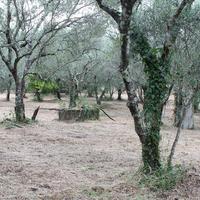 Land plot in Greece, 145 sq.m.