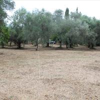 Land plot in Greece, 145 sq.m.