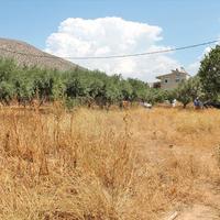 Земельный участок в Греции