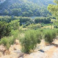 Земельный участок в Греции