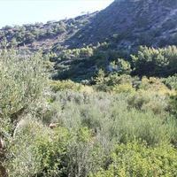 Земельный участок в Греции