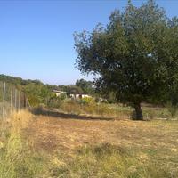 Land plot in Greece